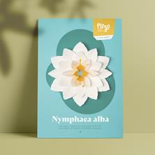 Plego Nymphaea alba | 8436043723170 | Librería Sendak