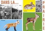 Mes saisons | 9782361937065 | Gervais, Bernardette | Llibreria Sendak