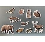 Magnètics Animals bosc | 0723707922566 | Librería Sendak