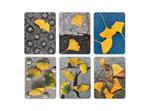 Domino des fuilles | 9782361938598 | Andréadis, Ianna | Llibreria Sendak