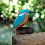 Plego Alcedo Atthis (Blauet) | 9999900002393 | Llibreria Sendak