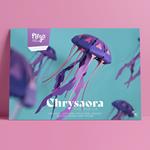 Plego Chrysaora hysoscella (medusa) | 8436043723149 | Llibreria Sendak