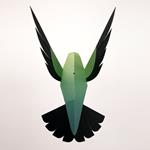 Plego Selasphorus platycerus (Colibrí) | 8436043720193 | Librería Sendak