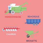 10 véhicules et leurs cousins | 9791090743496 | Dieudonné, Cléa | Llibreria Sendak