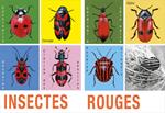 Mes saisons | 9782361937065 | Gervais, Bernardette | Llibreria Sendak