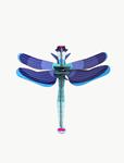 STUDIO ROOF Sapphire Dragonfly | 8718164518898 | Llibreria Sendak