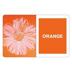 Andy Warhol. What colours do you see? | 9780735363793 | VV. AA. | Llibreria Sendak