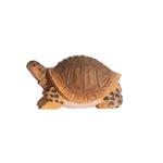 WUDIMALS Tortuga terrestre (40704) | 701575407040 | Llibreria Sendak