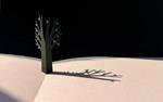 Piccolo Albero | 9788898030873 | Komagata, Katsumi | Llibreria Sendak