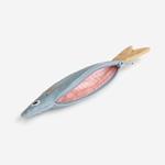 DON FISHER Anchovy blau (amb anella clauer) | 8435551400931 | Llibreria Sendak