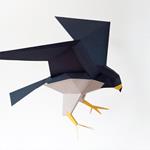 Plego Falco Peregrinus (Falcó pelegrí) | 9999900002409 | Librería Sendak