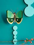 STUDIO ROOF Fern Striped Butterfly | 8720629642345 | Llibreria Sendak