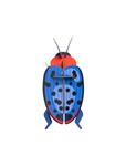 STUDIO ROOF Fungus Beetle | 8718164517525 | Llibreria Sendak