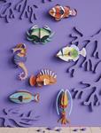 STUDIO ROOF Clownfish | 8720629646664 | Llibreria Sendak