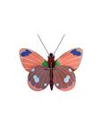 STUDIO ROOF Delias Butterfly | 8718164519468 | Llibreria Sendak