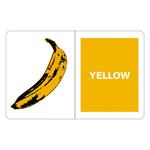 Andy Warhol. What colours do you see? | 9780735363793 | VV. AA. | Llibreria Sendak