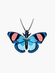 STUDIO ROOF Peacock Butterfly | 8718164514104 | Llibreria Sendak