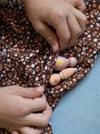 GRAPAT Moonlight Tale | 8436580871839 | Llibreria Sendak