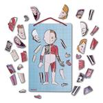 JANOD Cuerpo humano magnético | 3700217354916 | Llibreria Sendak