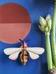 STUDIO ROOF Honey Bee | 8718164513572 | Llibreria Sendak