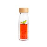 PETIT BOUM Move Bottle TRex | 8425402857786 | Llibreria Sendak