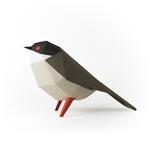 Plego Sylvia Melanocephala | 8436043724405 | Librería Sendak