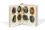 Museum Pop Up (English) | 9782361937874 | EHRHARD, DOMINIQUE / LEMASSON, ANNE-FLORENCE | Llibreria Sendak