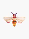 STUDIO ROOF Honey Bee | 8718164513572 | Llibreria Sendak