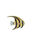 STUDIO ROOF Angelfish | 8720629646688 | Llibreria Sendak