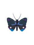 STUDIO ROOF Blue Diadem Butterfly | 8720629647456 | Llibreria Sendak