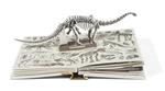 Museum Pop Up (English) | 9782361937874 | EHRHARD, DOMINIQUE / LEMASSON, ANNE-FLORENCE | Llibreria Sendak