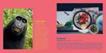 ABC... Photographiez! 200 ans d'images exceptionnelles | 9782361938628 | Von Holleben, Jan | Llibreria Sendak