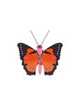 STUDIO ROOF Large Fox Butterfly | 8720629647470 | Llibreria Sendak