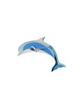 STUDIO ROOF Dolphin | 8720629646725 | Llibreria Sendak