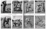 Deux petits ours | 9782352893790 | Ylla | Llibreria Sendak
