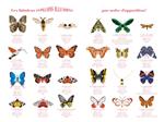 Papillons Illusions | 9782330132699 | Brouant, Julie / Duisit, Bernard | Llibreria Sendak