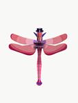 STUDIO ROOF Ruby Dragonfly | 8718164518881 | Llibreria Sendak