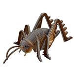 DODOLAND EUGY Giant Weta | 9421036940404 | Llibreria Sendak