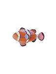 STUDIO ROOF Clownfish | 8720629646664 | Llibreria Sendak