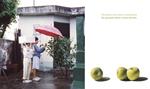 Croquer une belle pomme | 9782330222987 | Joo, Jin / Hee, Lee Ga | Librería Sendak