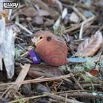 DODOLAND EUGY Castor | 9421036940480 | Llibreria Sendak