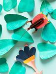 STUDIO ROOF Violin Beetle | 8718164517532 | Llibreria Sendak