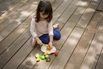 PLANTOYS Fruites set | 8854740036001 | Llibreria Sendak