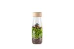 PETIT BOUM Spy Bottle Jungle | 8425402476468 | Llibreria Sendak