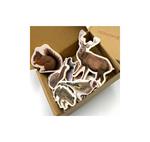 Magnètics Animals bosc | 0723707922566 | Librería Sendak