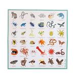 MOULIN ROTY Memory animals | 3575677193647 | Llibreria Sendak