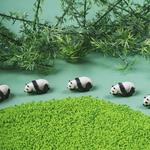 PETIT BOUM Sound Bottle Panda | 8425402476550 | Librería Sendak