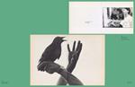 L is for Look | 9783959059237 | Anne Lacoste/Rose Durr | Llibreria Sendak