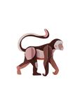 STUDIO ROOF Monkey | 8720629646206 | Llibreria Sendak