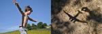 C'est qui le petit? | 9782364742253 | Dreyfuss, Corinne / Vallier, Virginie | Llibreria Sendak